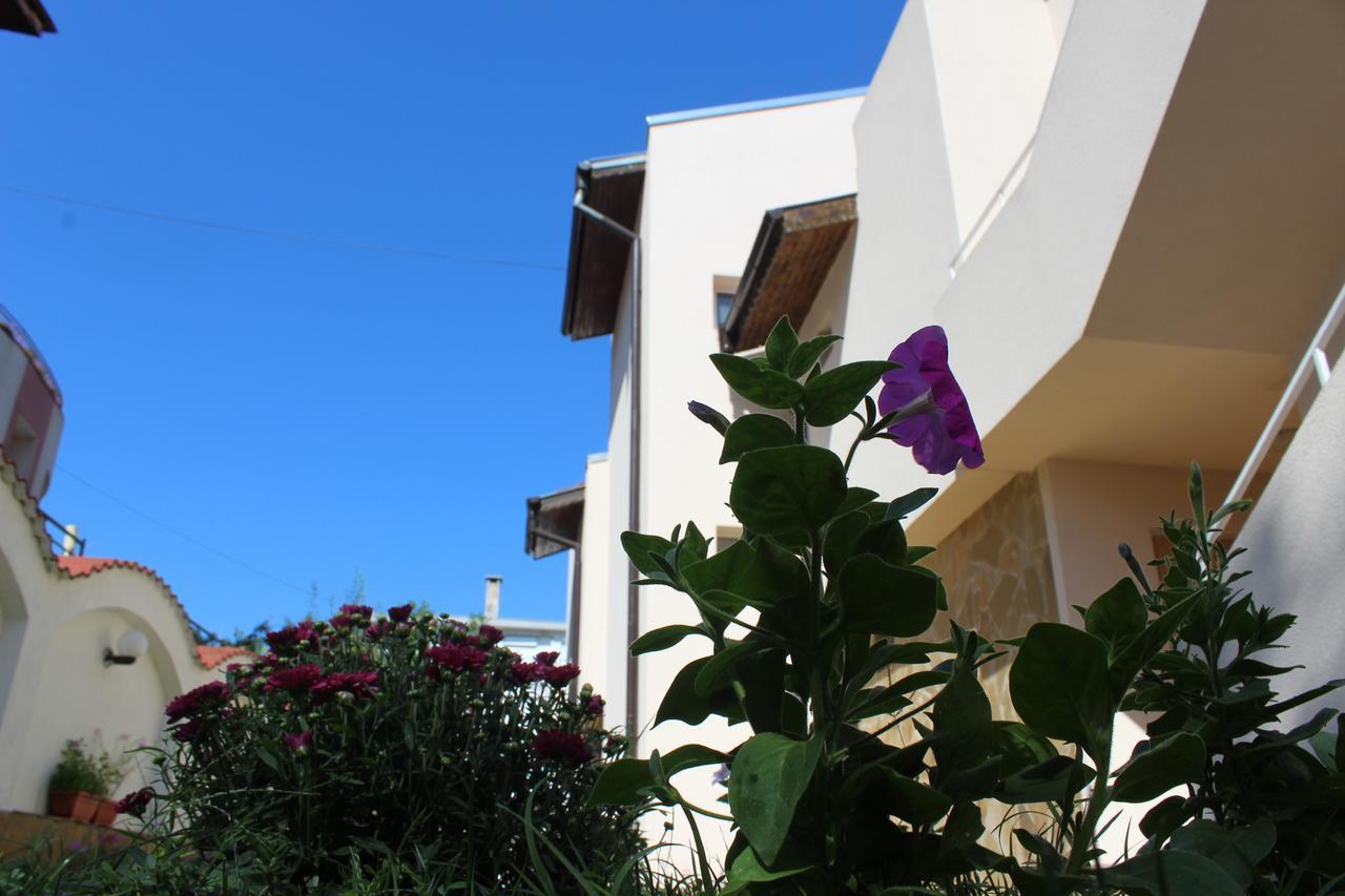 מלון רבדה Siana House מראה חיצוני תמונה